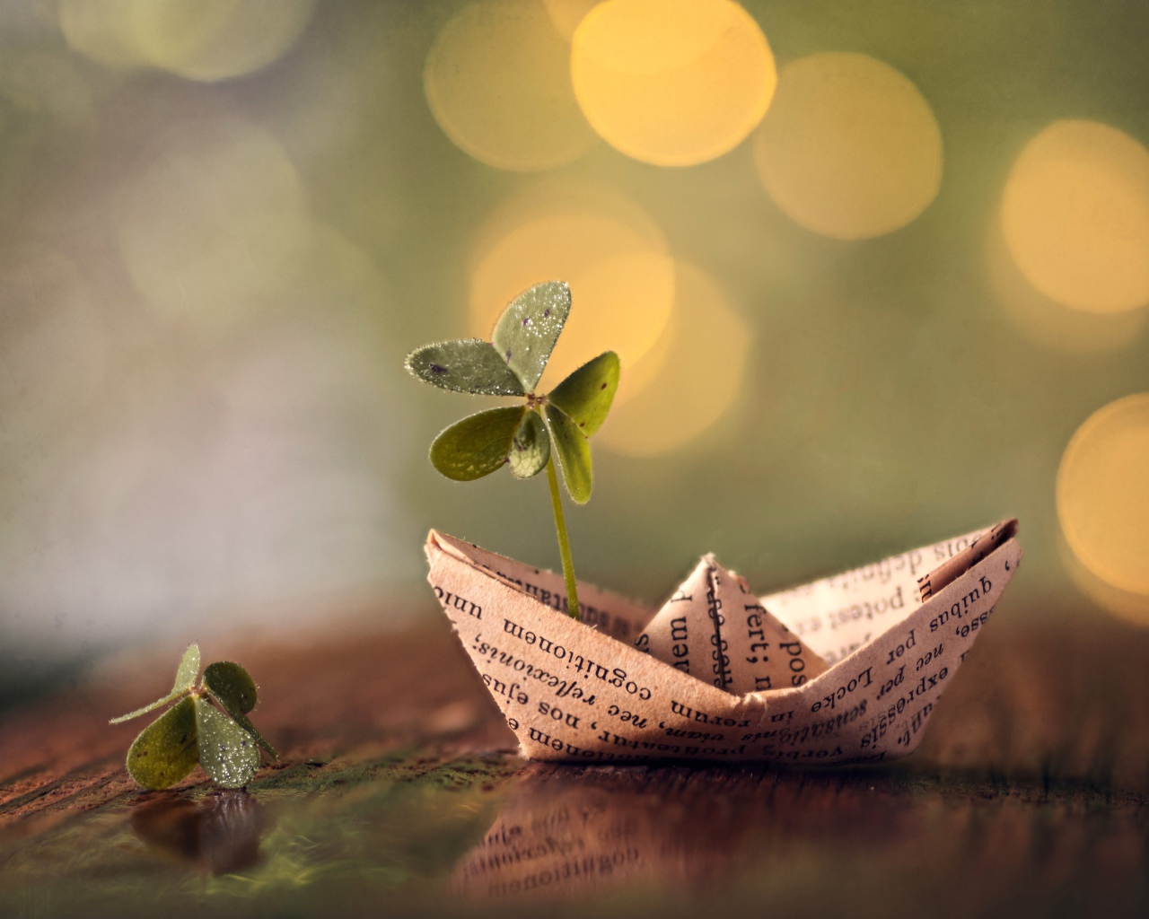 Бумажный кораблик с зеленым листом клевера