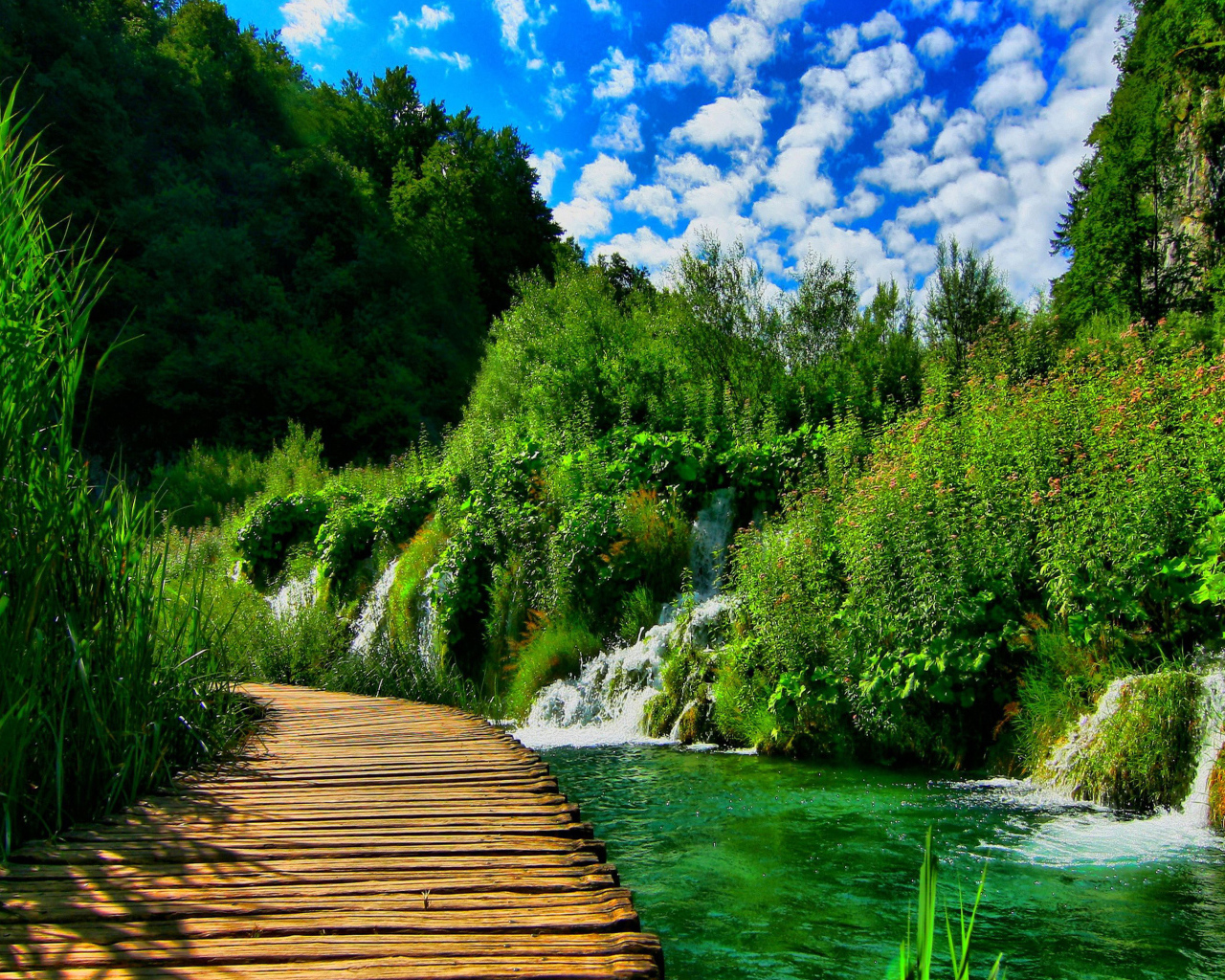 Деревянный мост в живописном зеленом лесу с водопадами