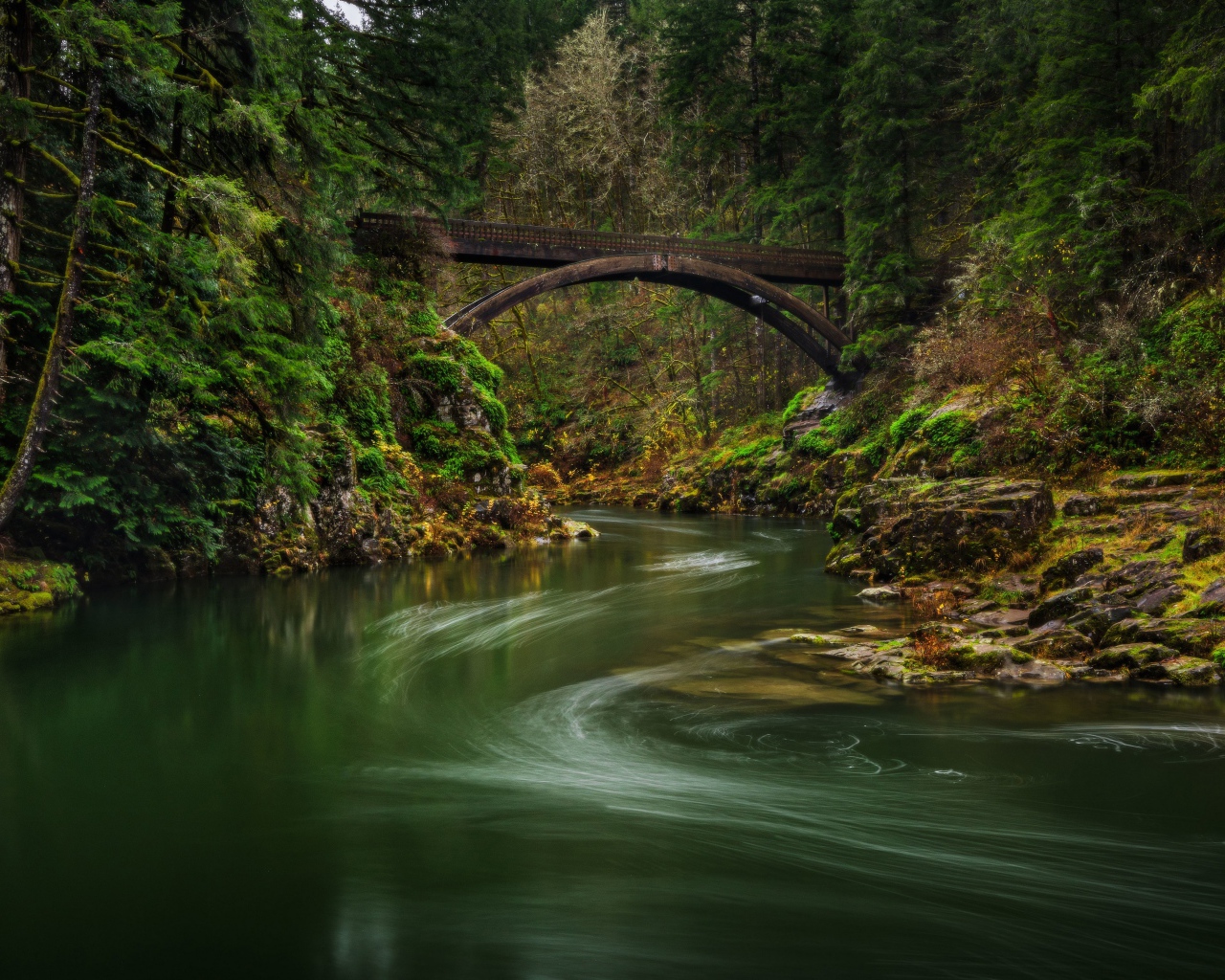 Спокойная река в зеленом лесу