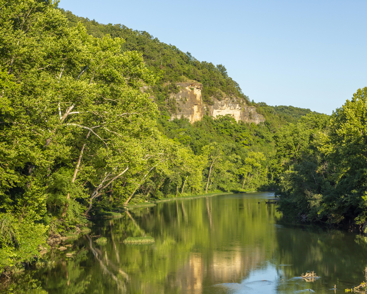 Зеленые деревья на склоне утеса над рекой 