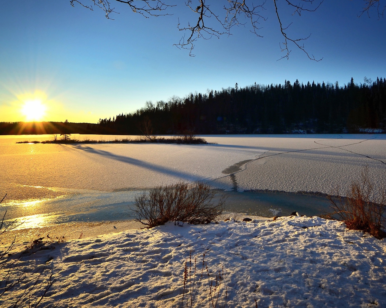 Покрытая льдом река в лучах солнца у леса 