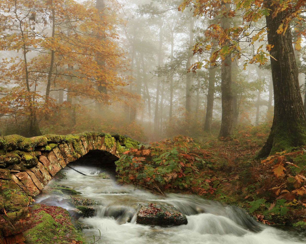 Старый каменный мост через ручей в осеннем лесу 