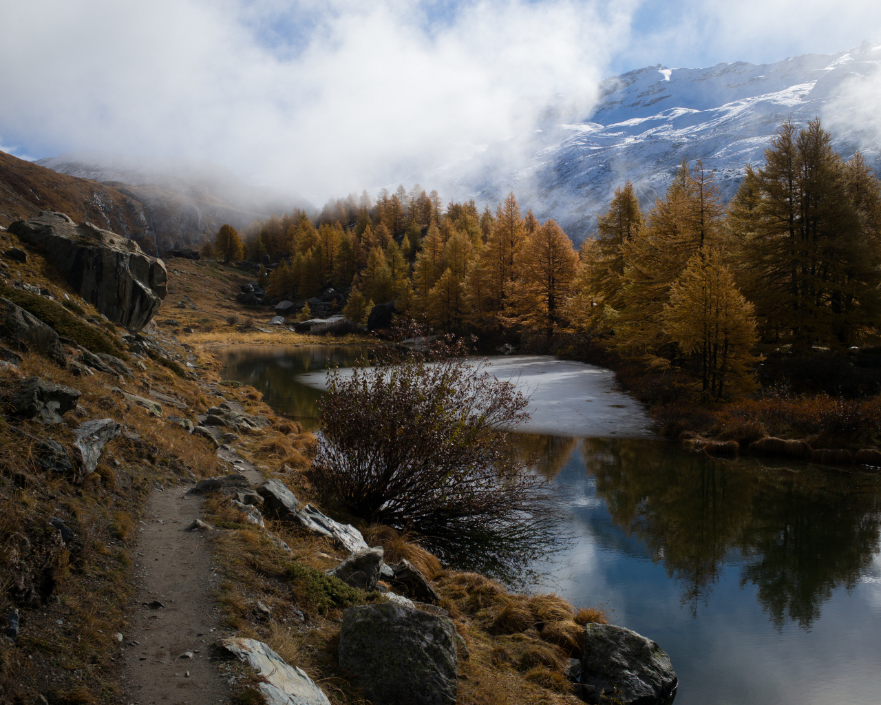 Вид на реку у леса в горах в тумане 