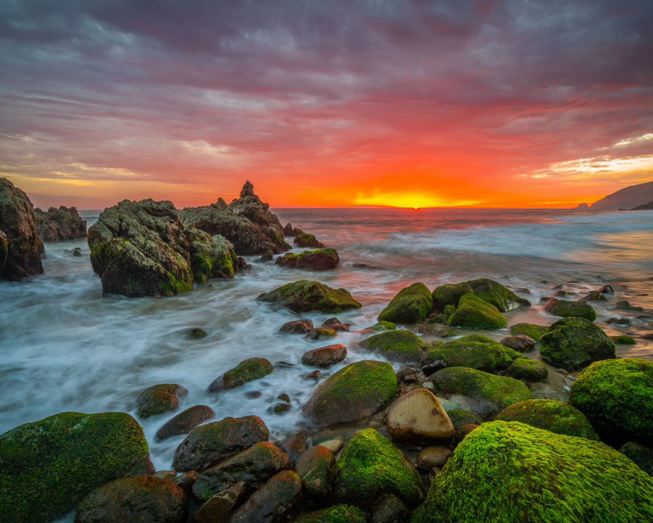 Покрытые зеленым мхом камни на берегу моря