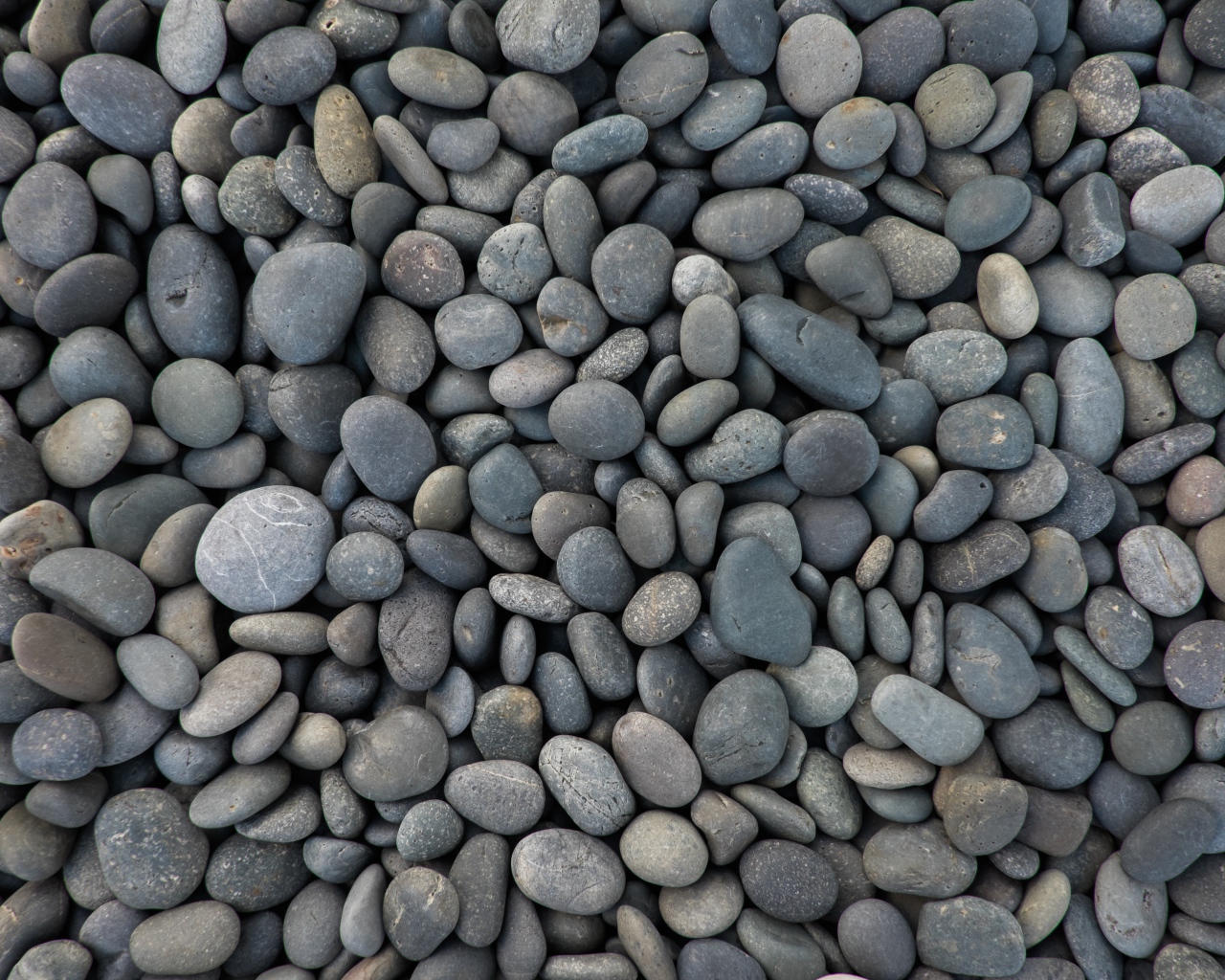 Мелкие серые морские камни 
