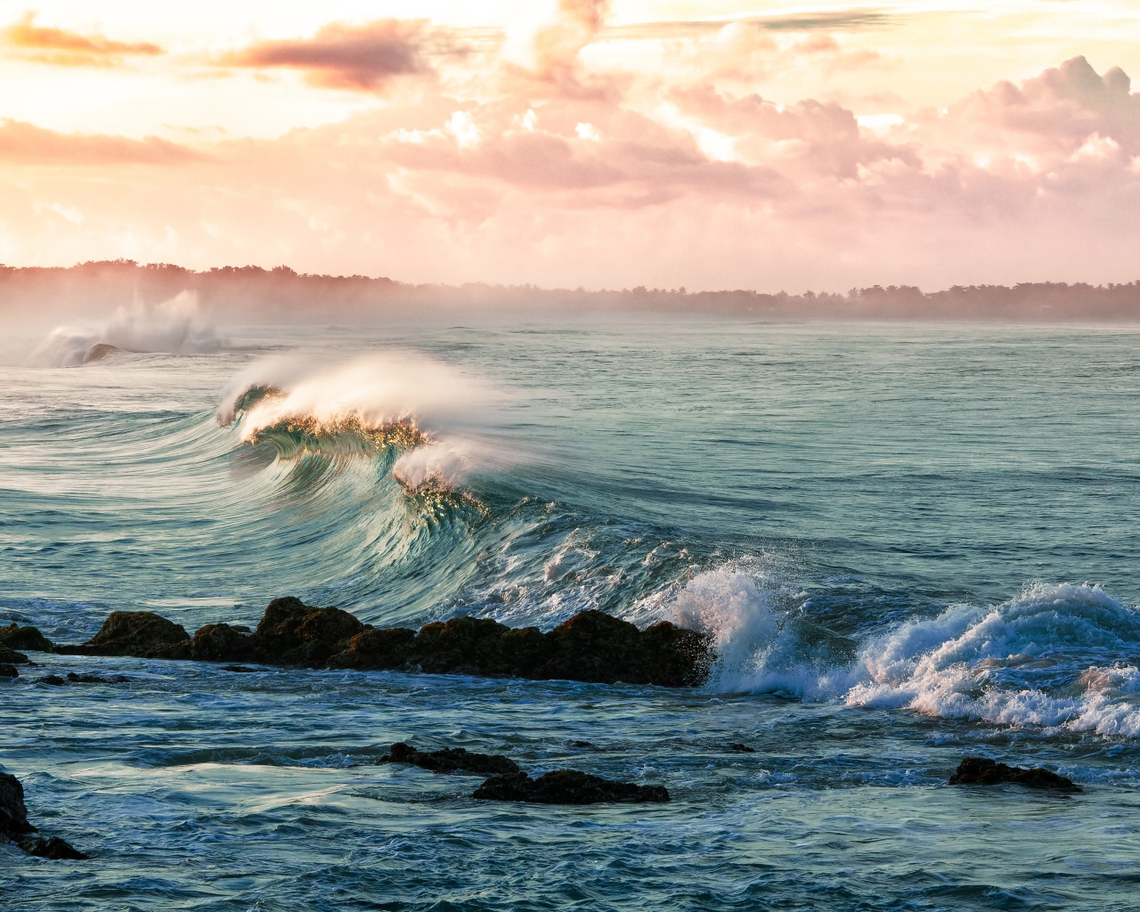 Волны на берегу океана в тумане 