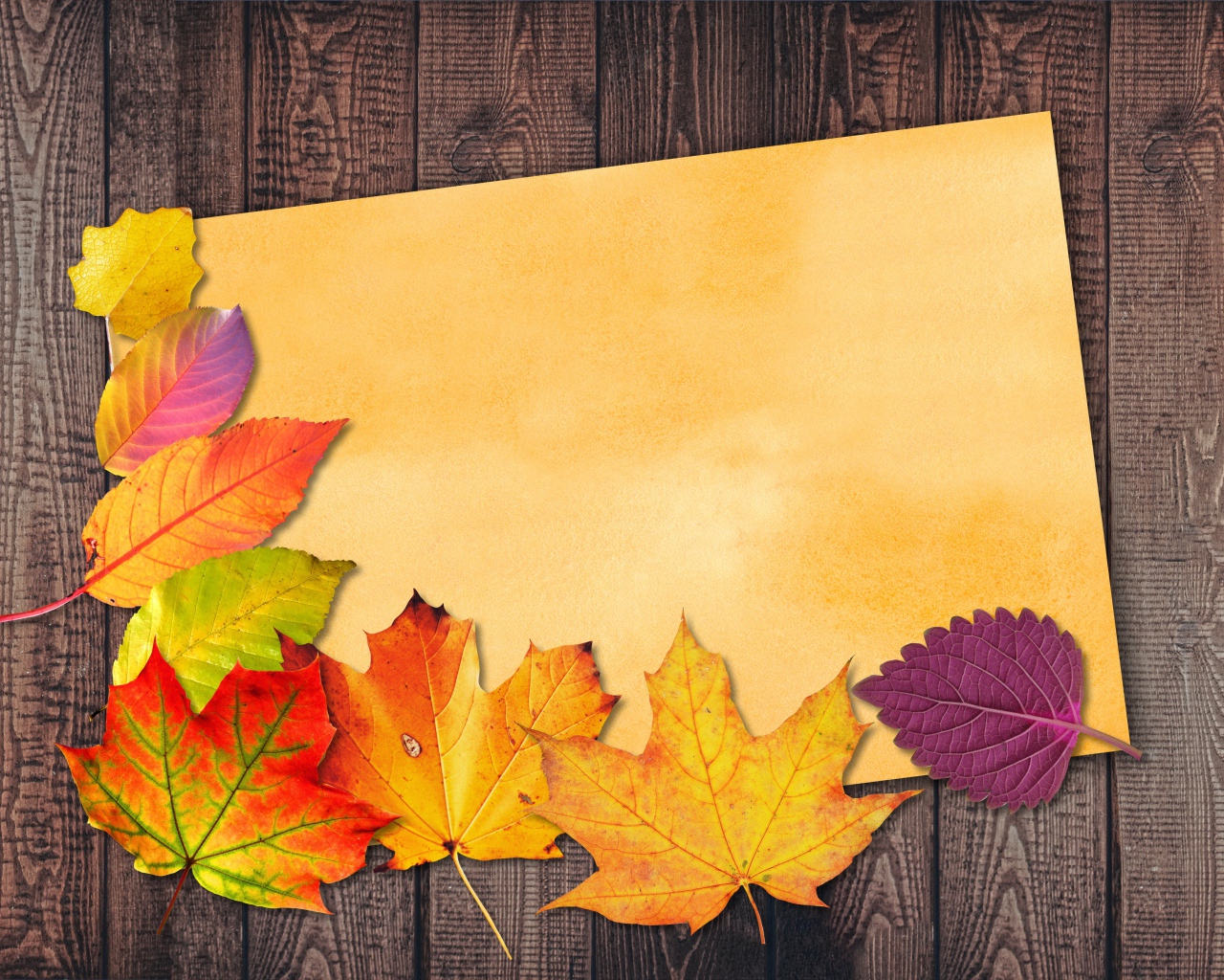 Лист бумаги с осенними листьями на деревянном фоне