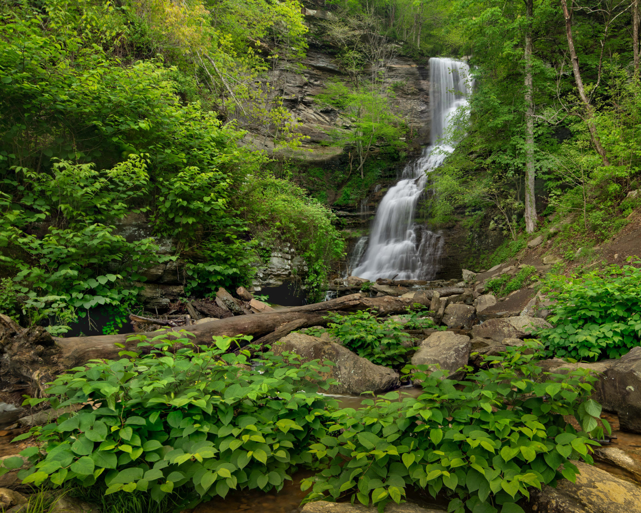 Водопад стекает по камням в национальном парке, США