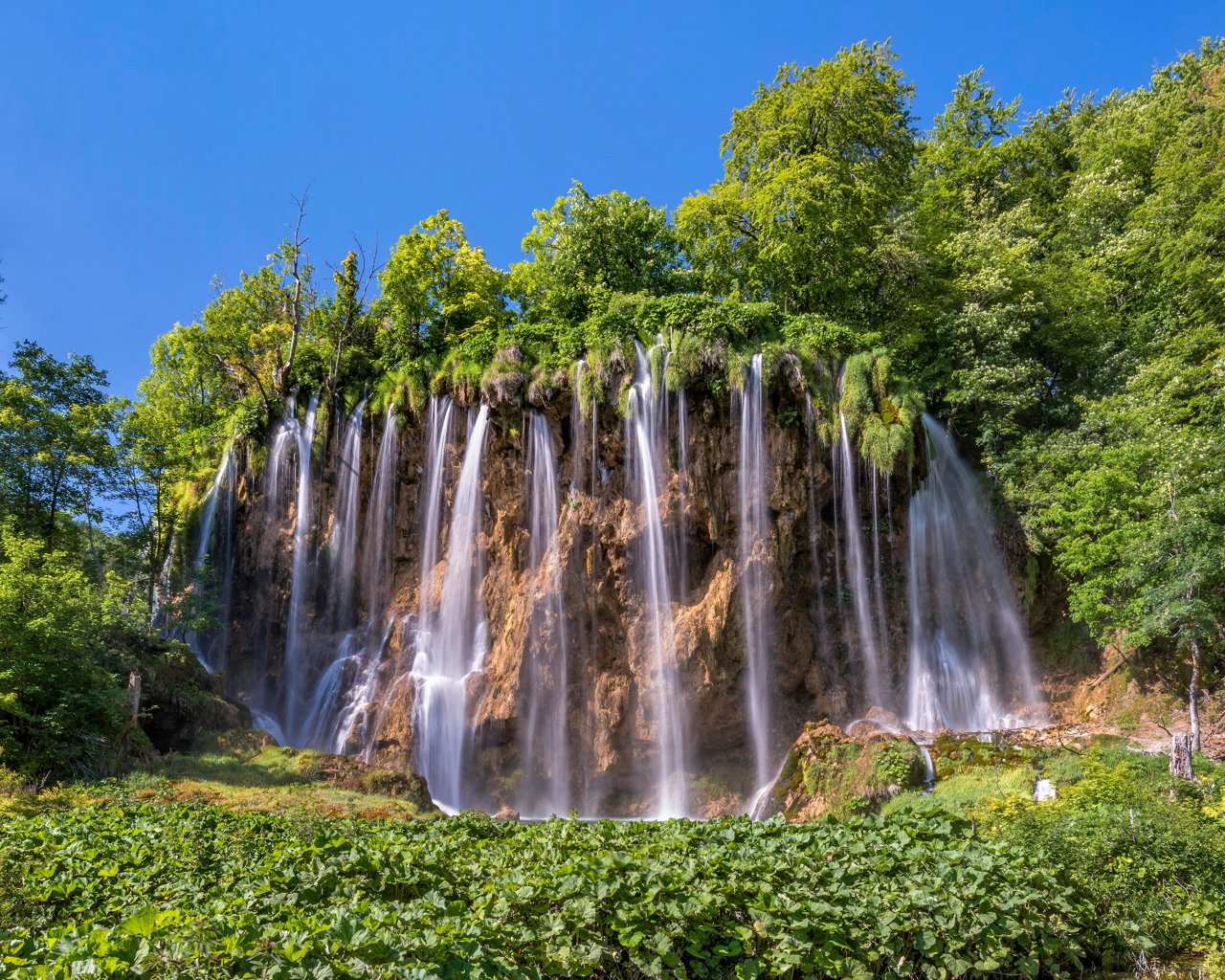 Красивый водопад стекает со склона с зелеными деревьями 