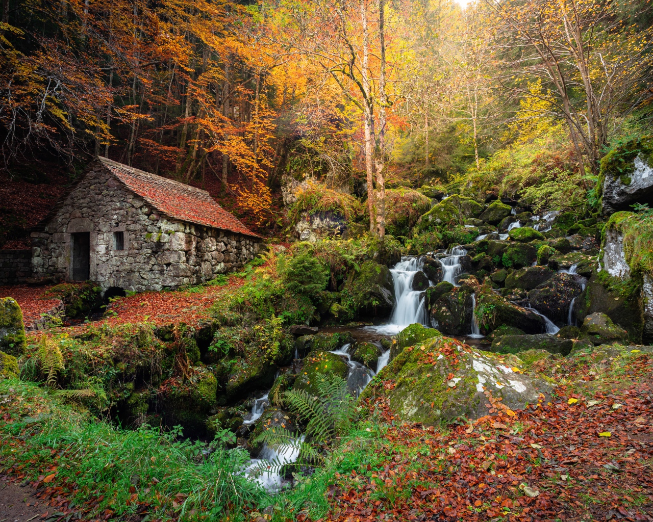 Старый каменный дом в осеннем парке с водопадом