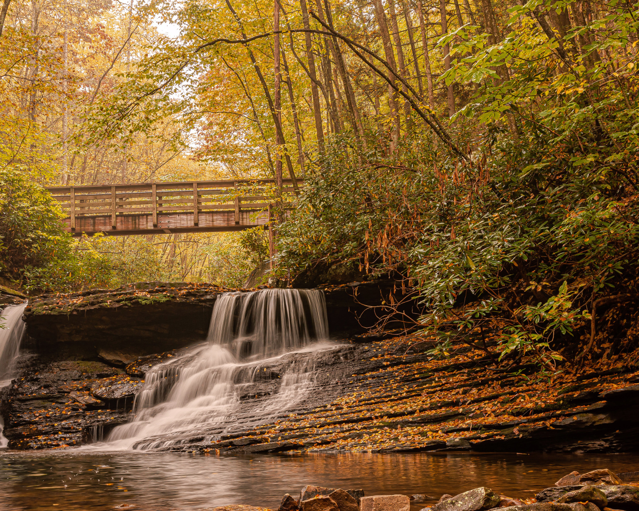 Водопад стекает по камням под мостом осенью