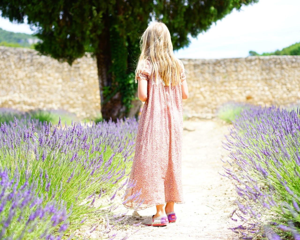 Маленькая девочка в платье на поле с лавандой