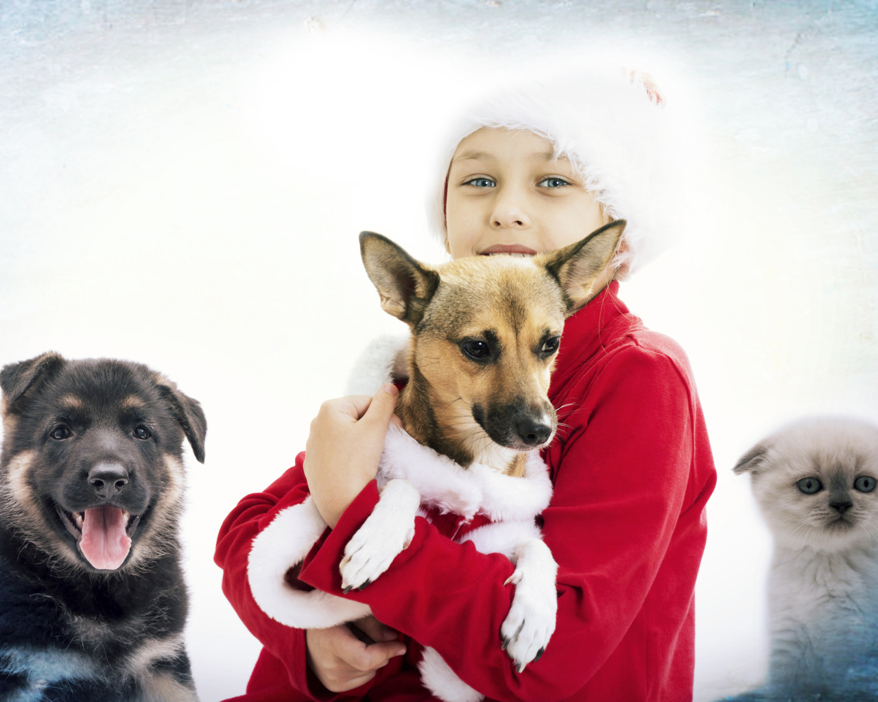 Мальчик в рождественской шапке с собаками