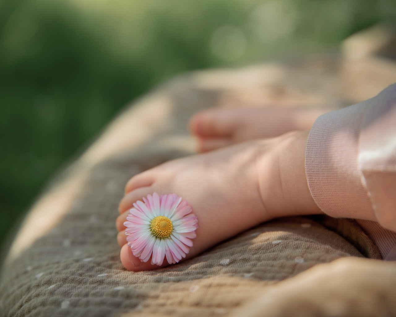 Нога ребенка с цветком маргаритки