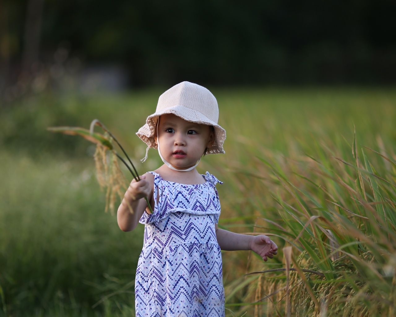 Маленькая девочка азиатка стоит в траве