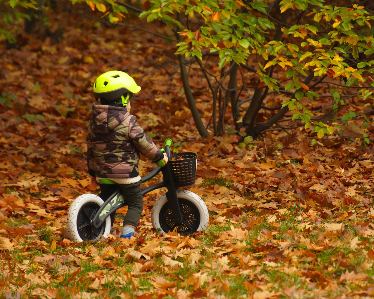 Маленький мальчик на велосипеде в осеннем парке 