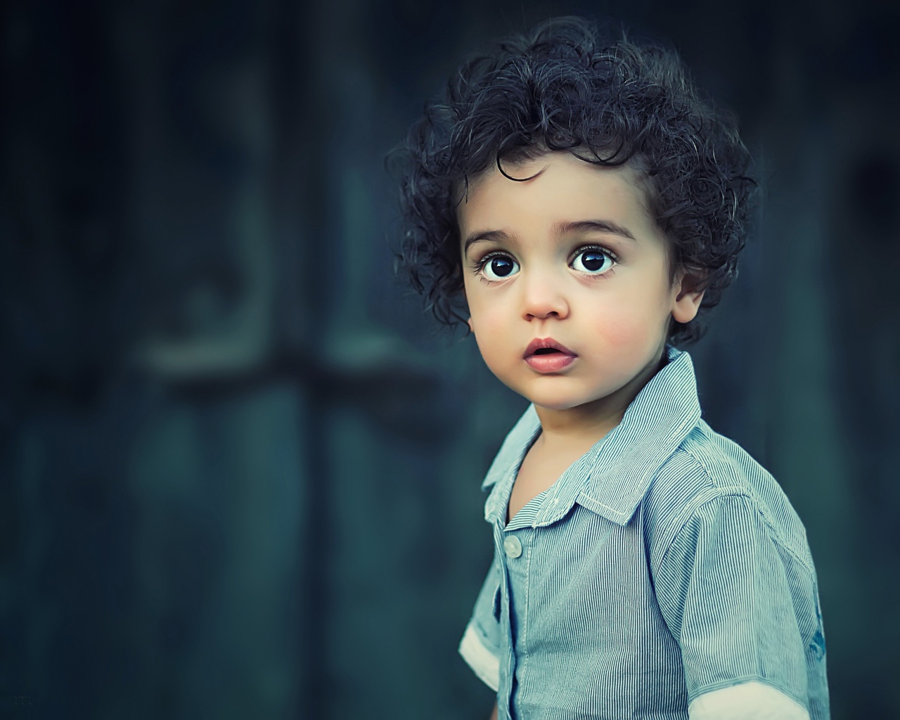 Маленький мальчик с кудрявыми волосами