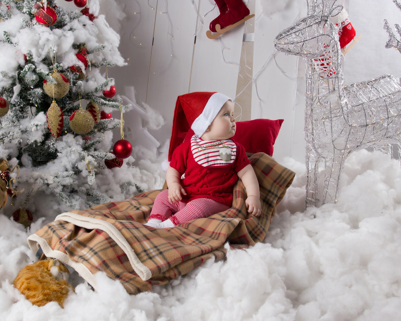 Маленький ребенок в санках возле наряженной ели