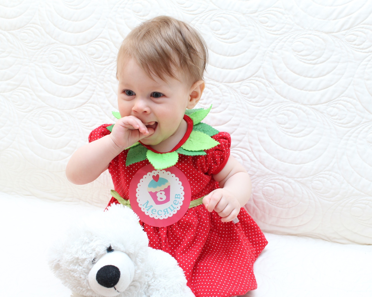 Маленькая девочка в красном платье с игрушкой на белом фоне