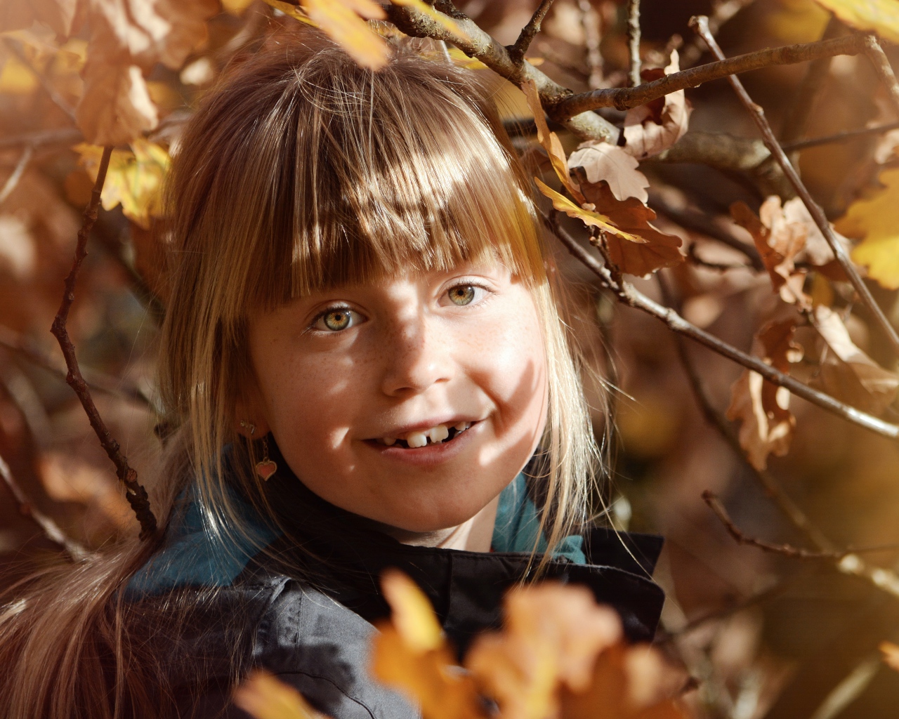 Маленькая девочка в ветках дерева осенью 