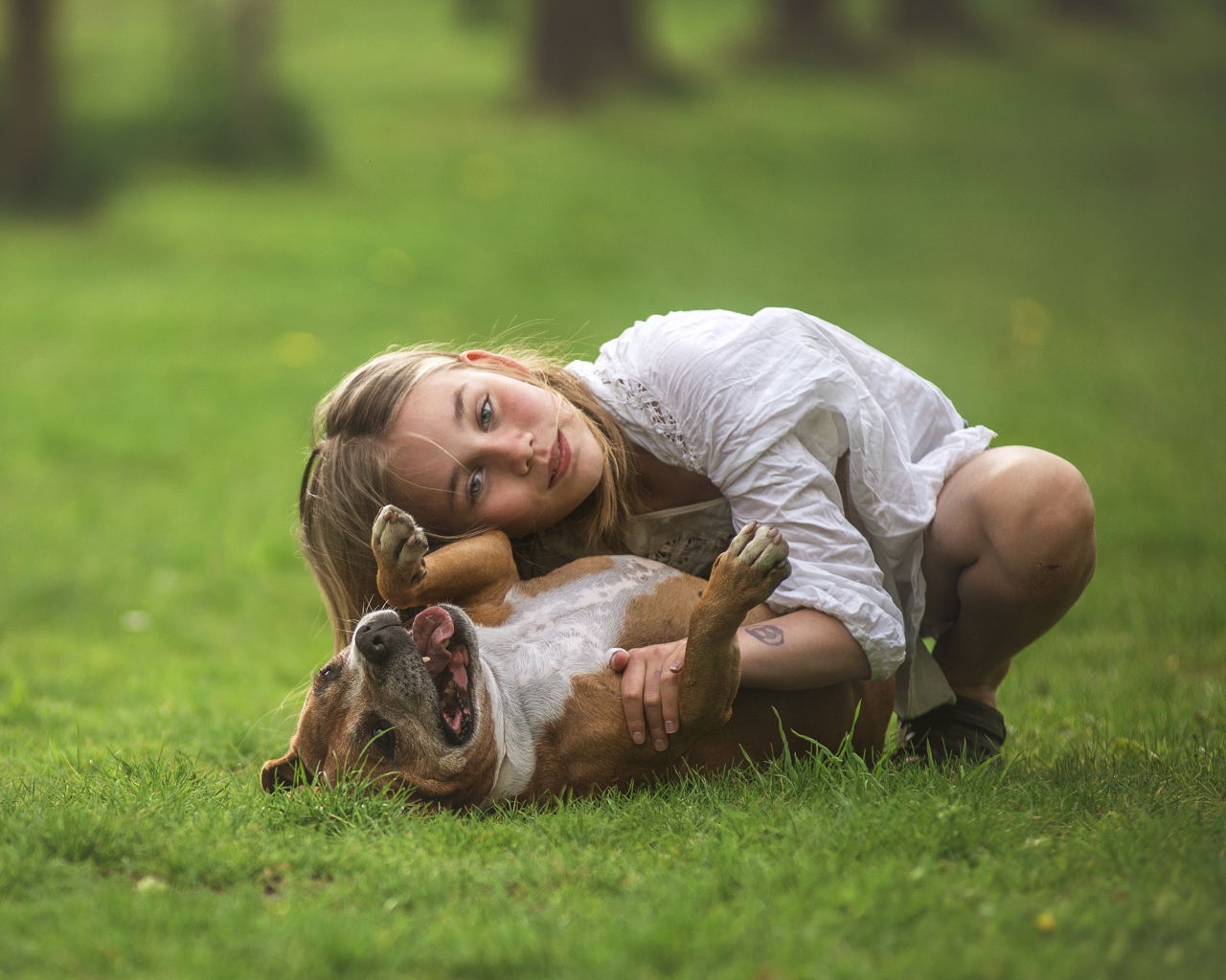 Маленькая девочка играет с собакой на траве летом