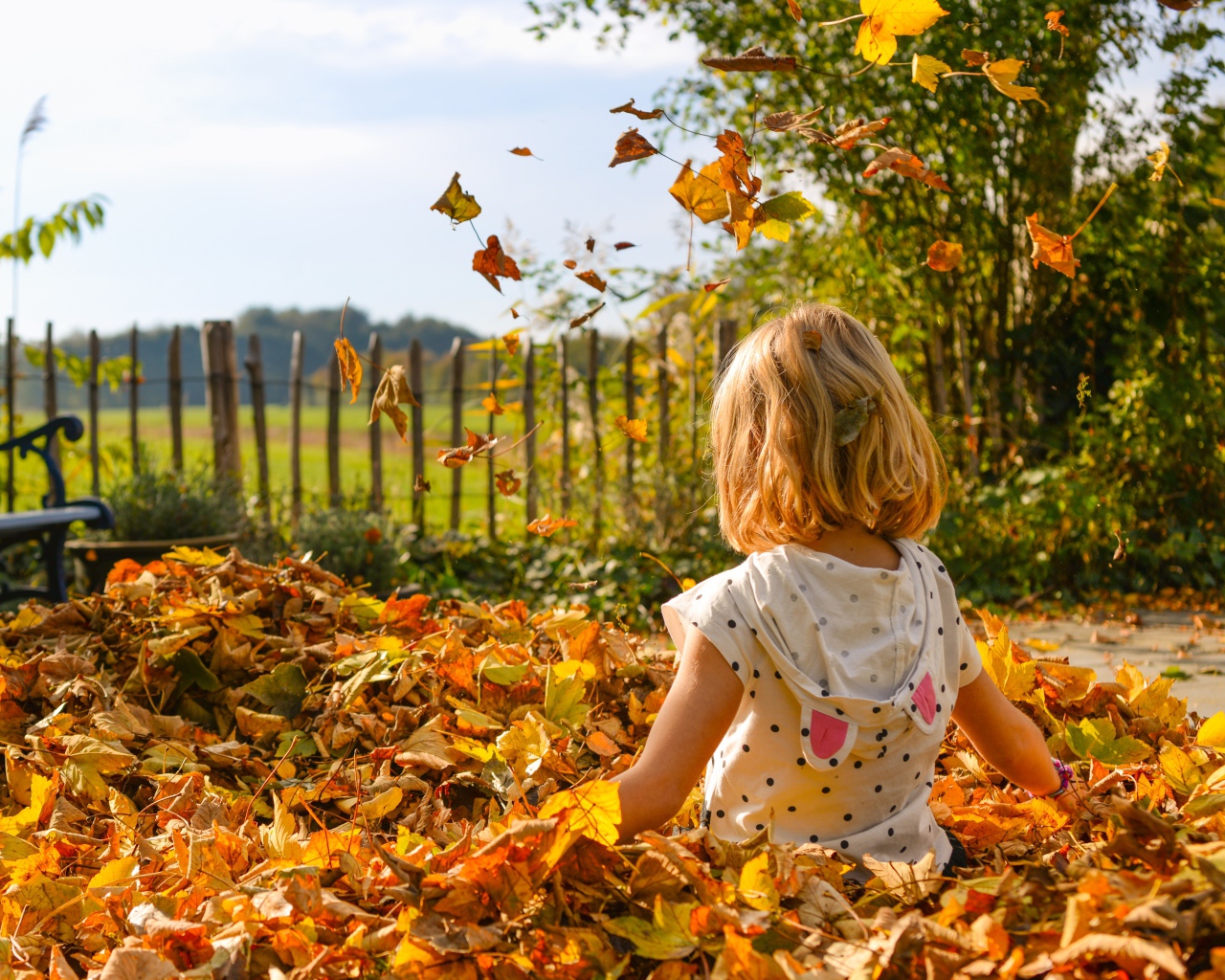 Маленькая девочка сидит в сухой листве