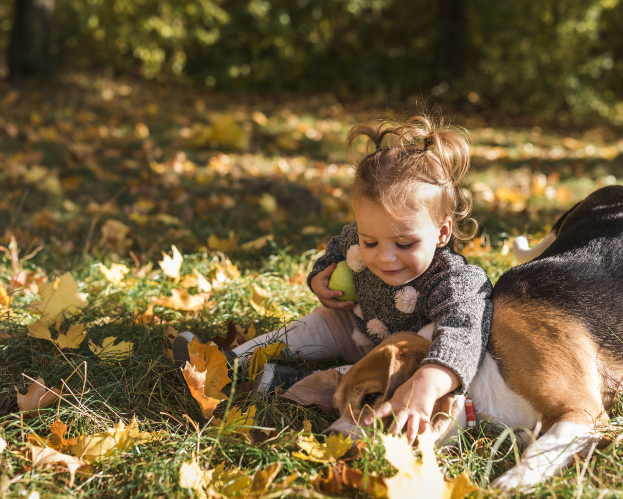 Маленькая девочка с собакой сидит на траве осенью 