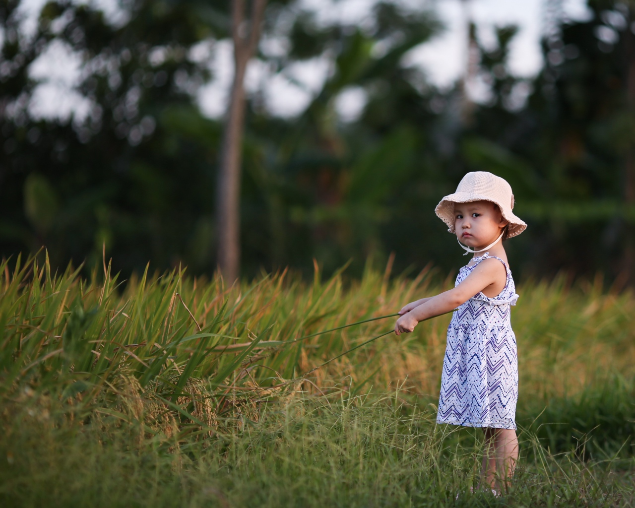 Маленькая девочка с панамой на голове  стоит в траве