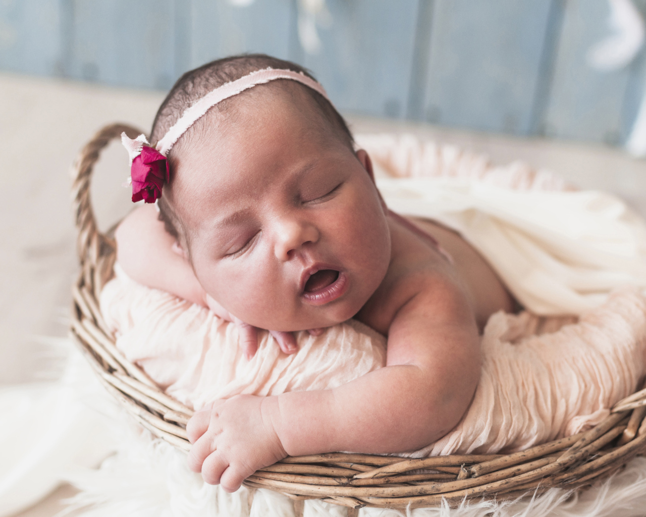 Новорожденная девочка лежит в корзине 