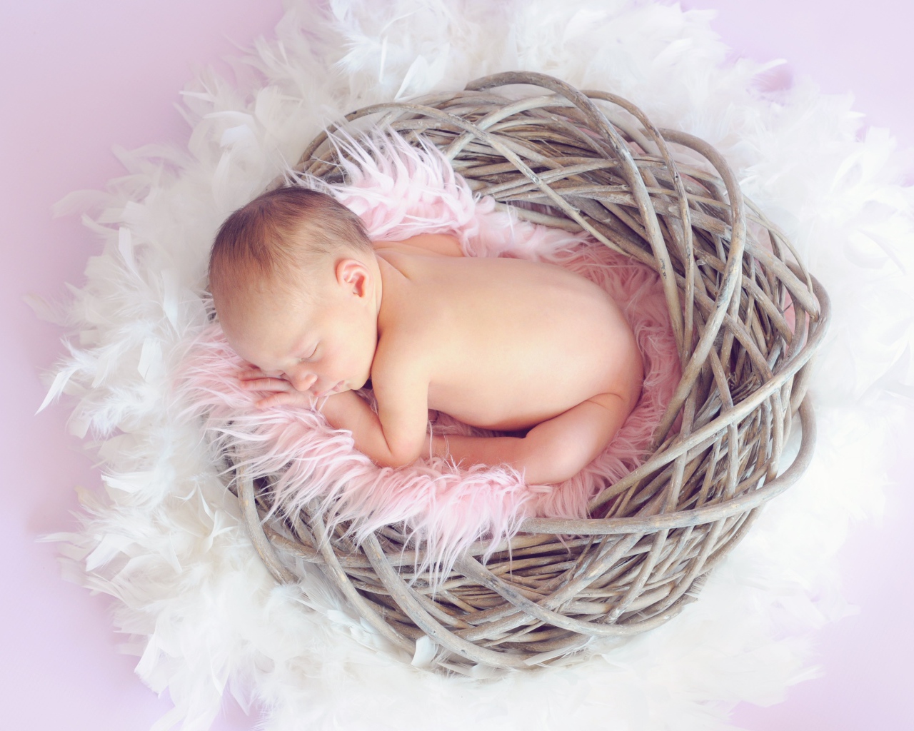 Новорожденный ребенок спит в гнезде на сером фоне