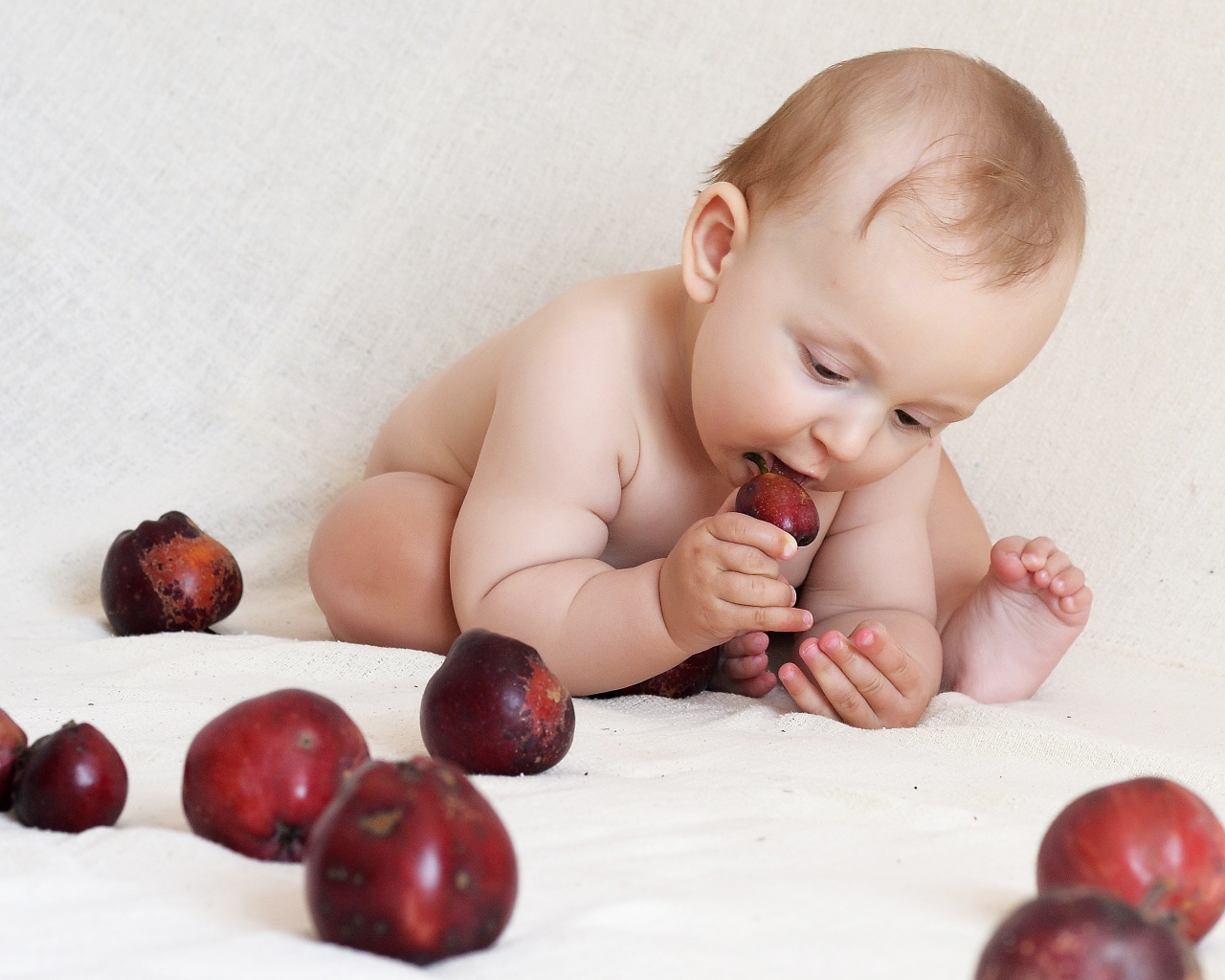 Маленький грудной ребенок грызет красные яблоки 