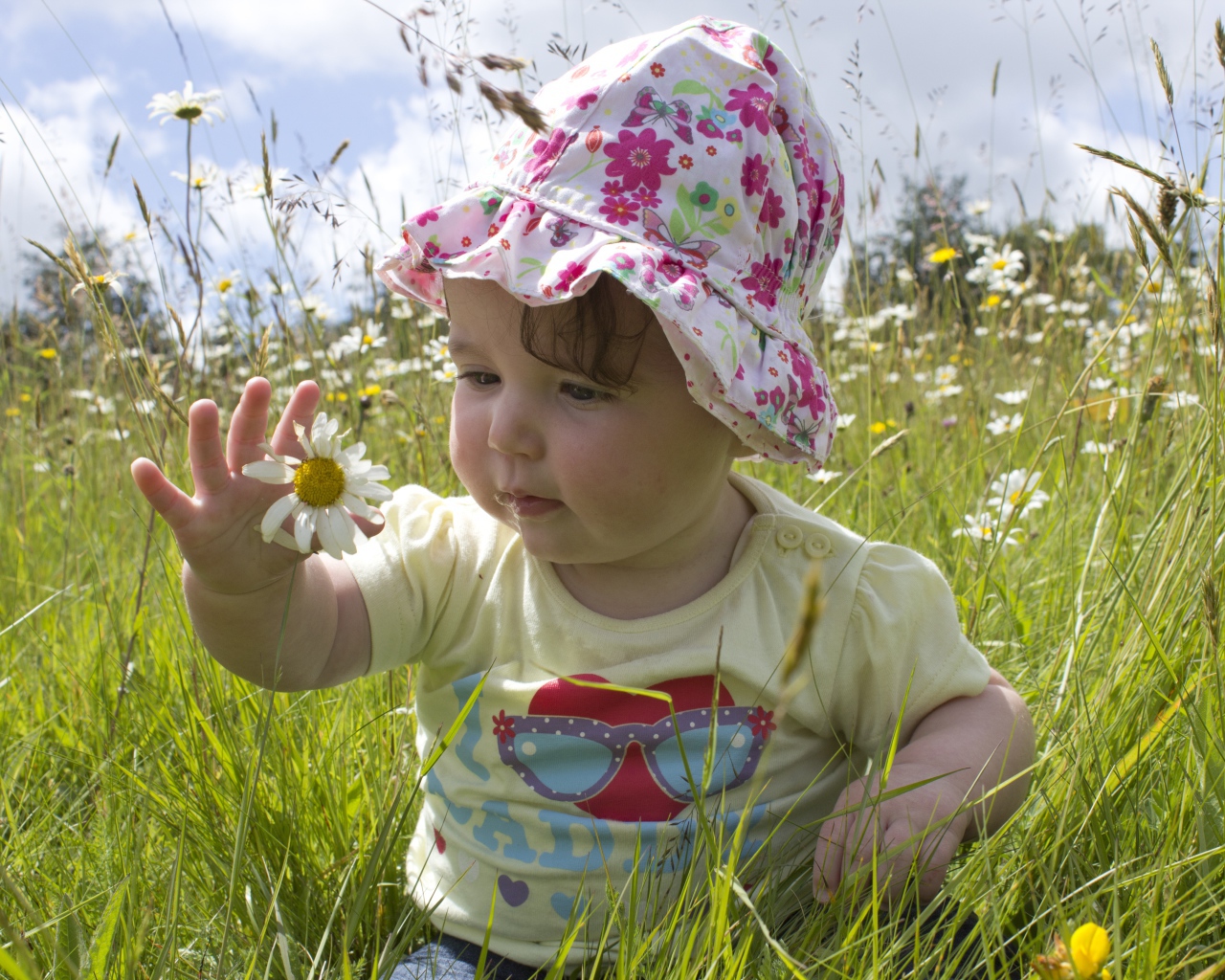 Маленький ребенок в панамке с ромашкой в руке