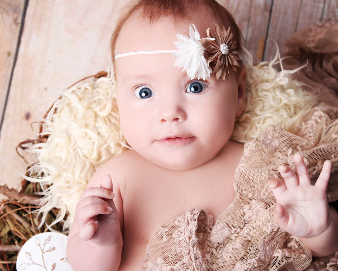 Удивленная голубоглазая новорожденная девочка 