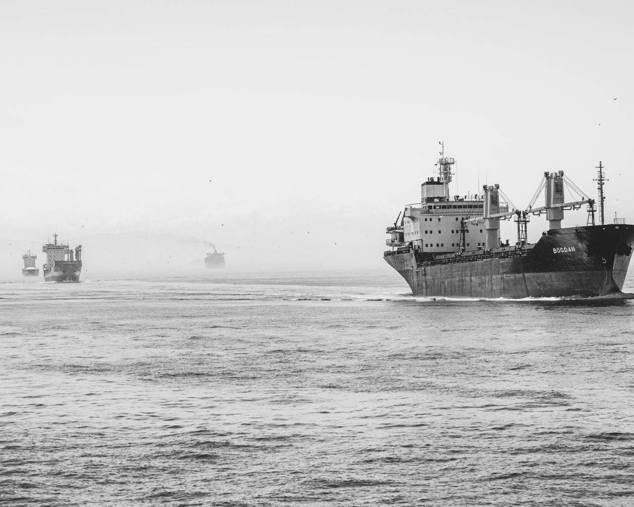 Big ship at sea black and white photo
