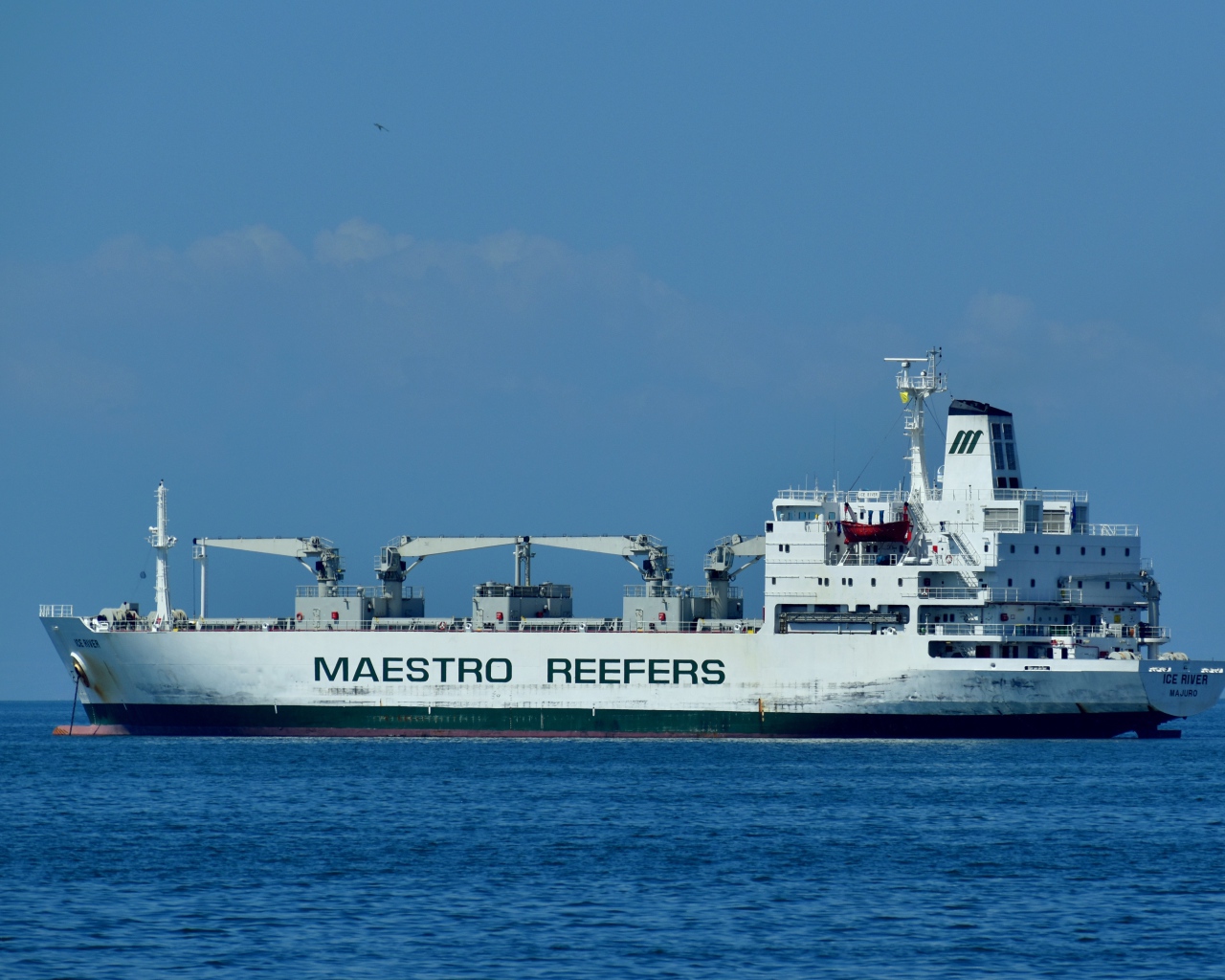 Большое грузовое судно Maestro Reefers