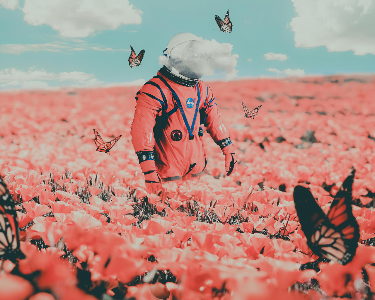 Космонавт идет по полю с бабочками и красными маками