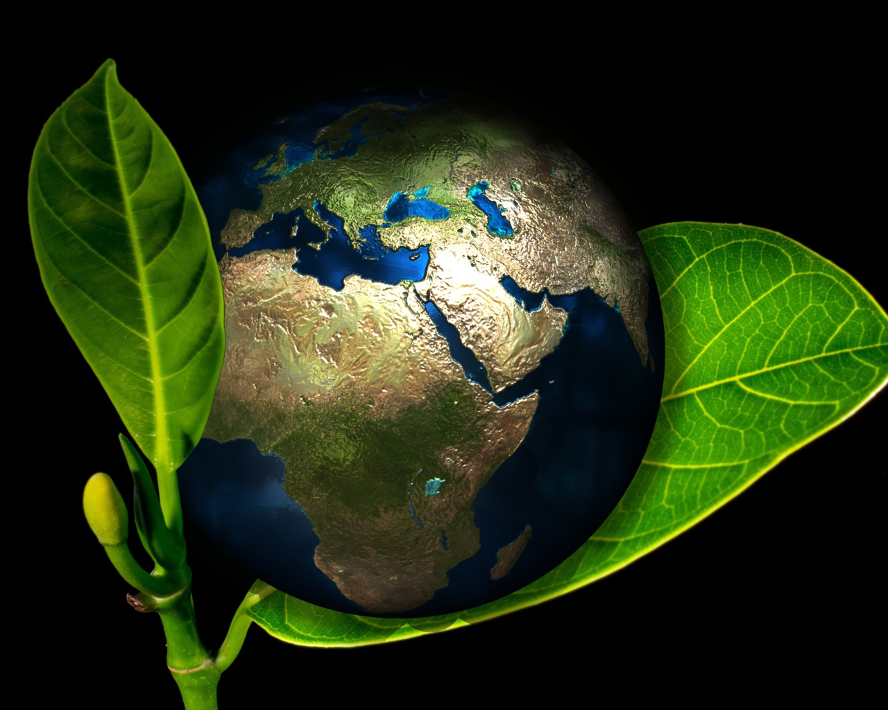 Планета Земля лежит на зеленом листе