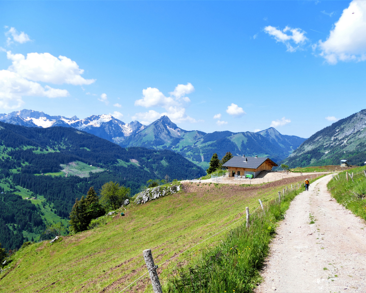 Красивый вид на покрытые зеленью Альпы, Франция 