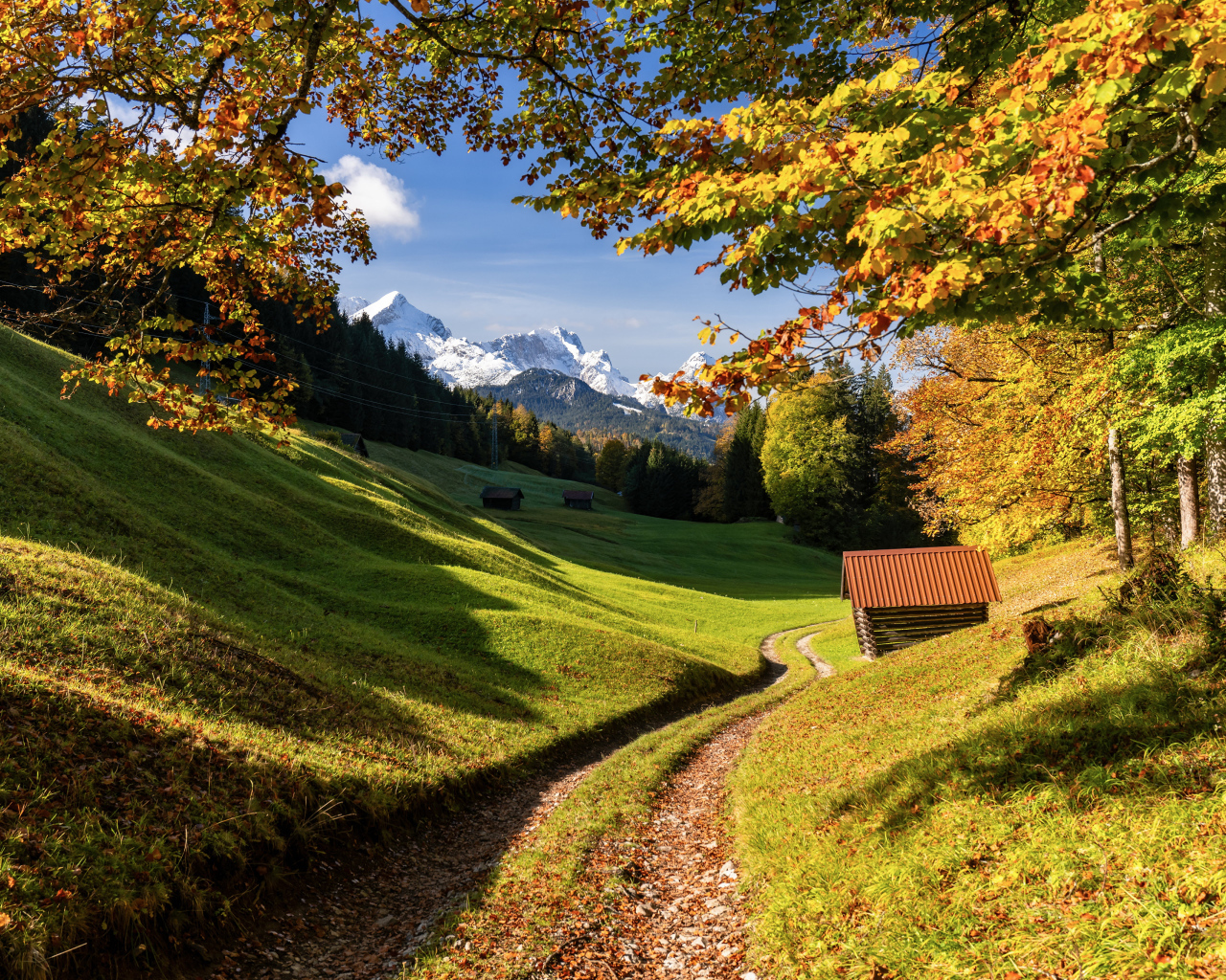 Красивая зеленая природа Альп, Германия