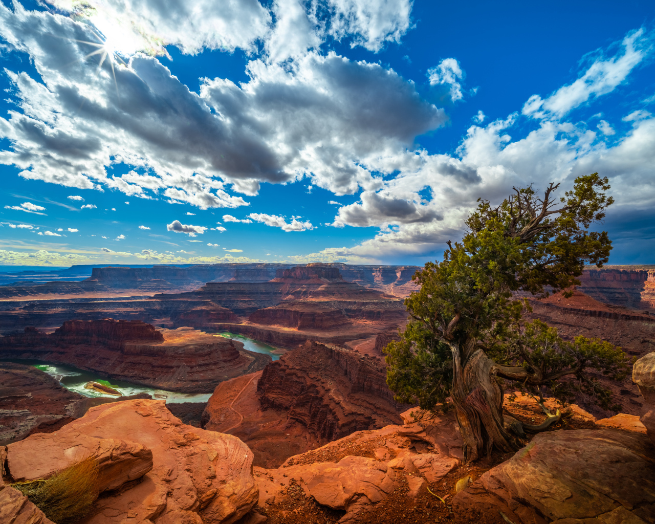 Красивый вид на каньон под голубым небом, США