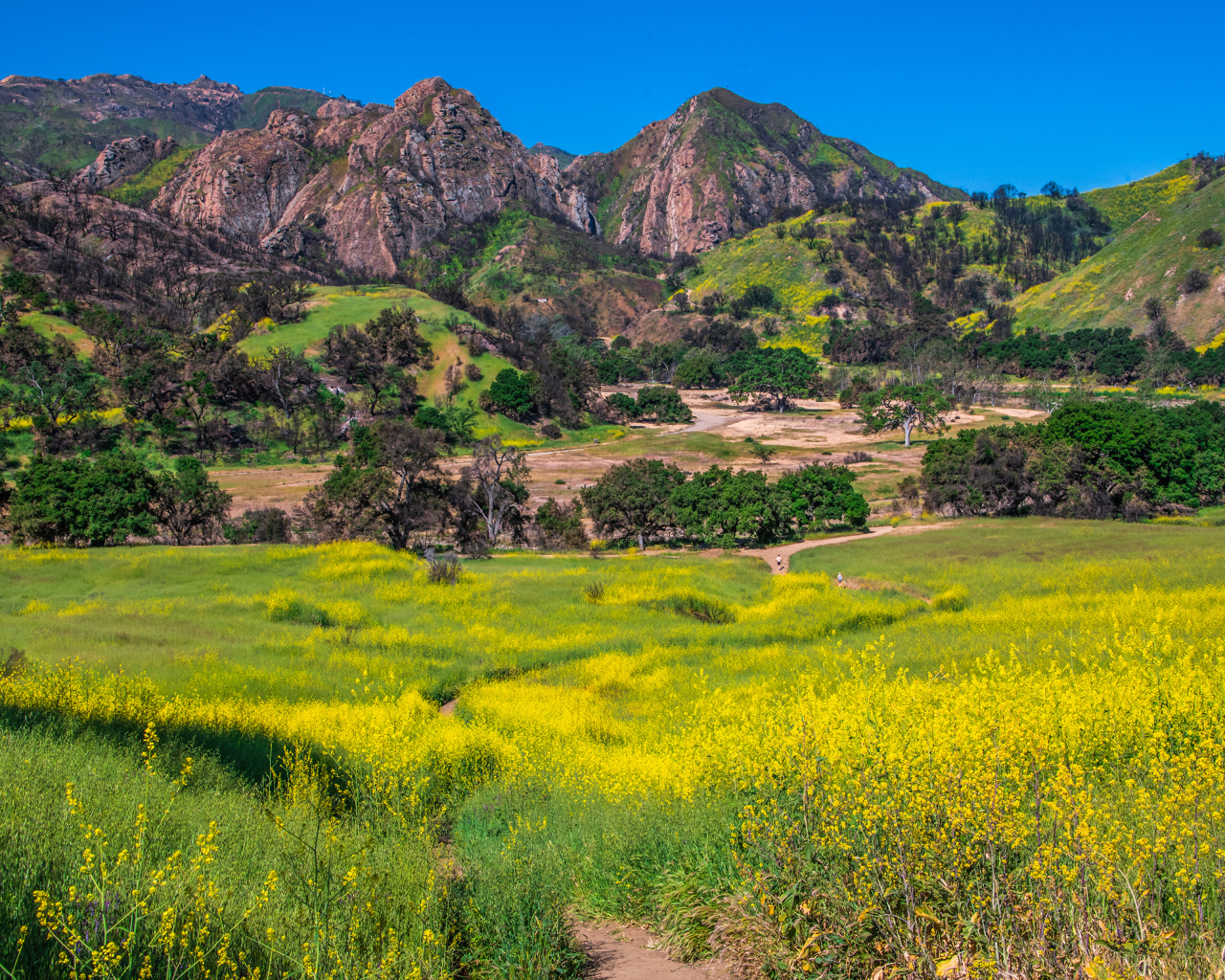 Большие горы под голубым небом, США