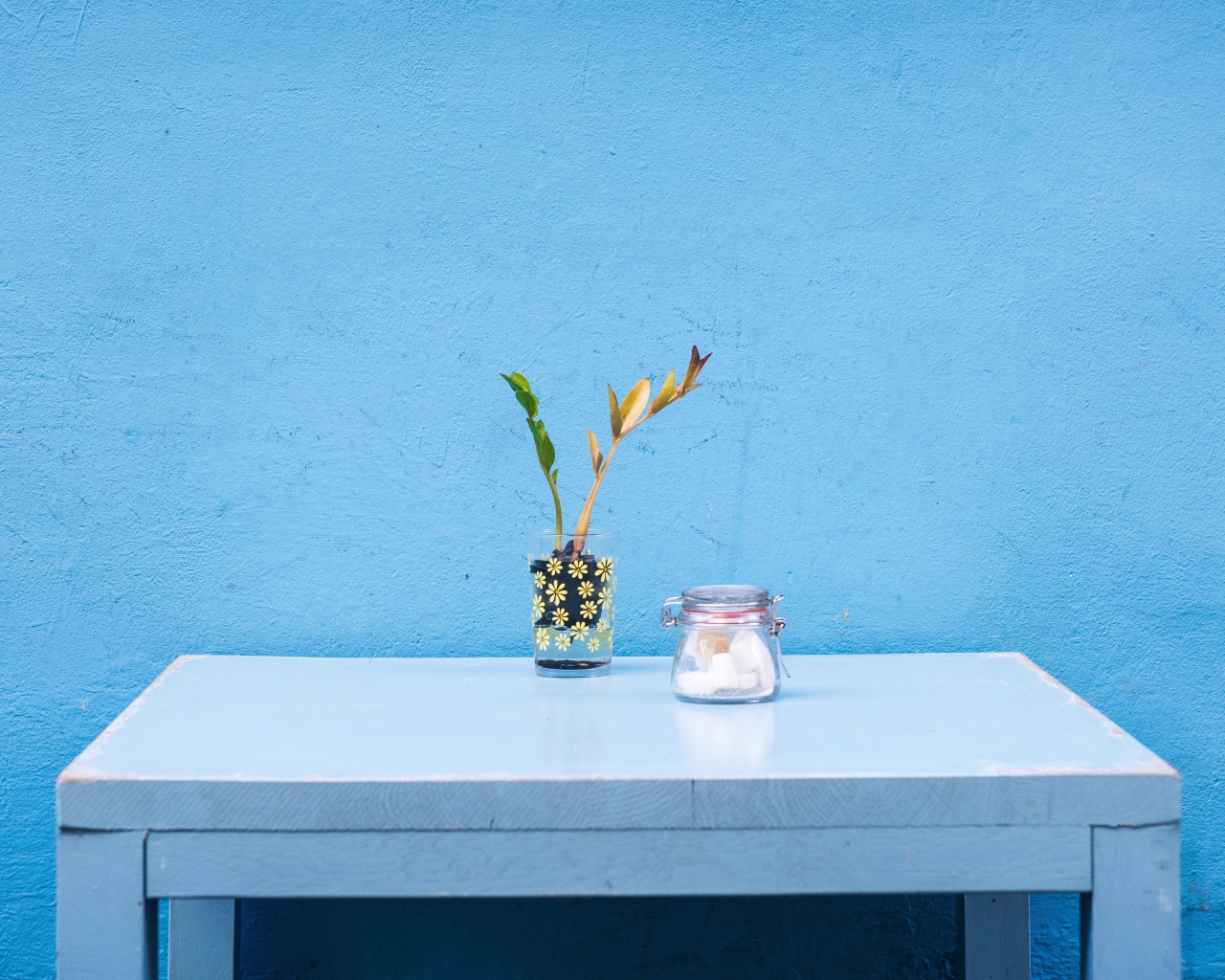 Стол с цветком стоит у голубой стены 