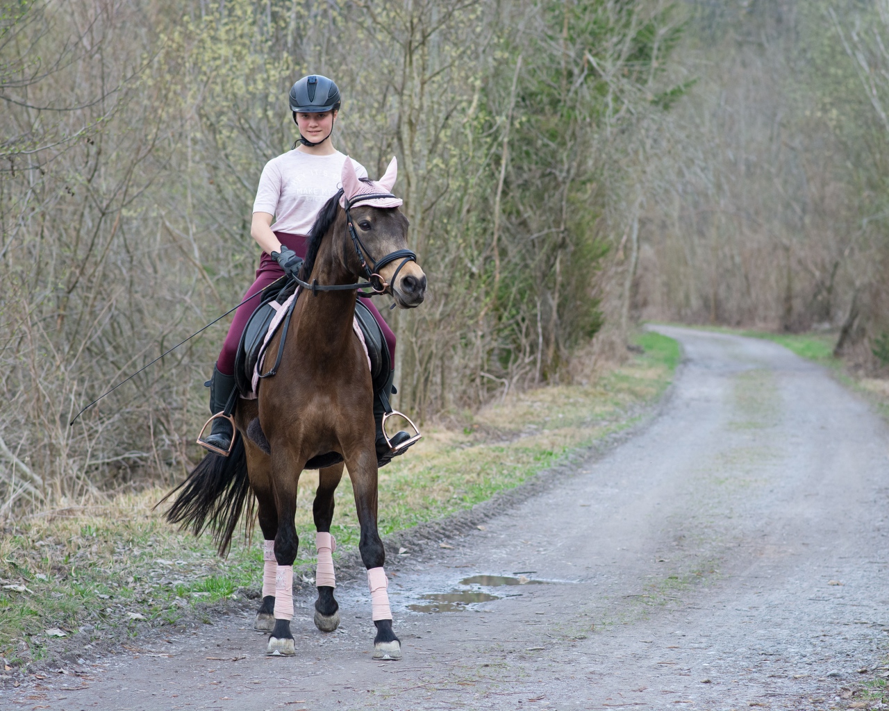 Молодая девушка катается на лошади 