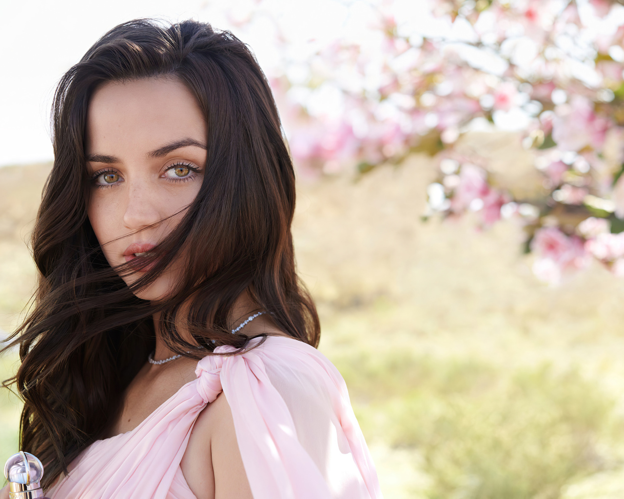 Нежная девушка, актриса Ана де Армас в розовом платье