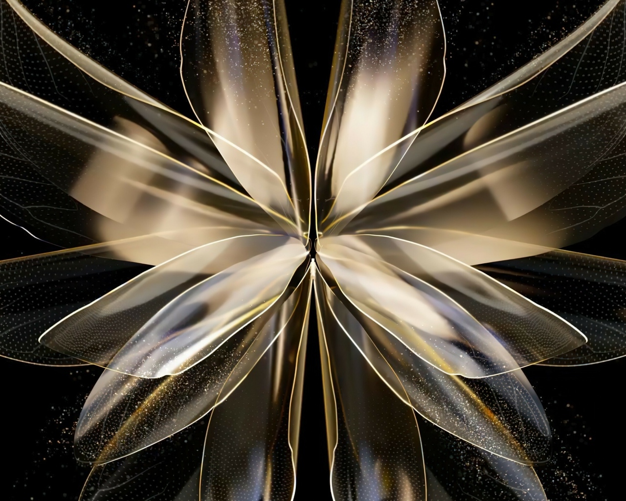 Красивый абстрактный цветок на черном фоне