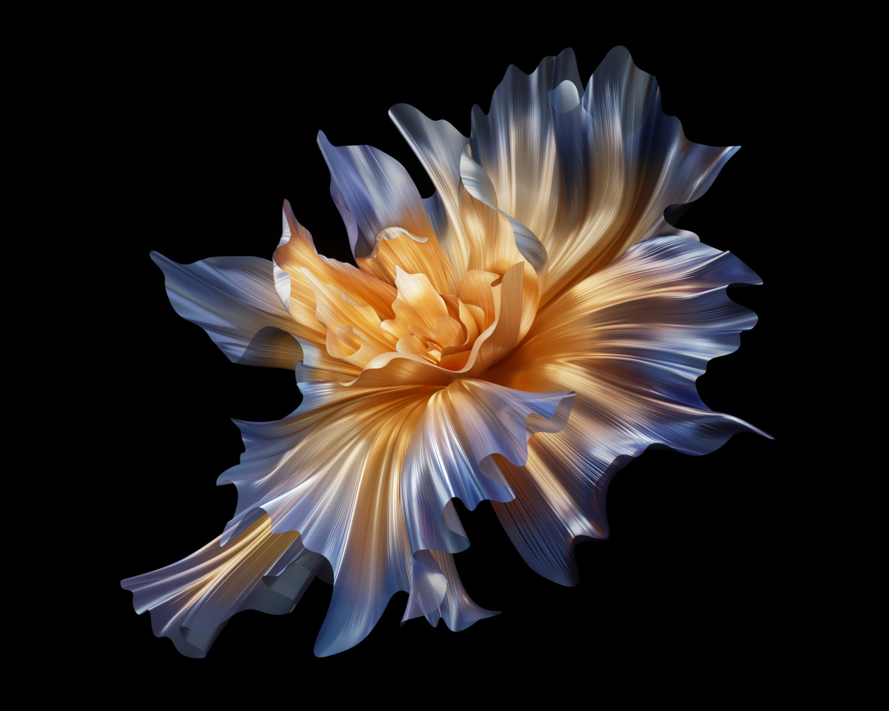 Красивый абстрактный белый цветок на черном фоне