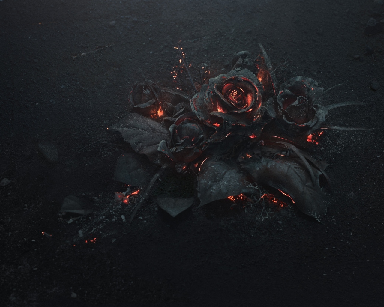 Черные сожженные 3д розы