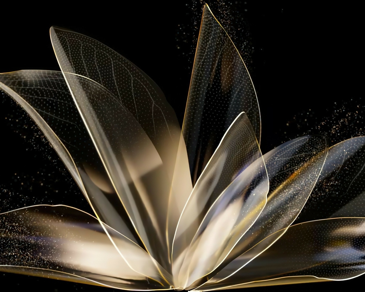 Распустившийся абстрактный цветок на черном фоне