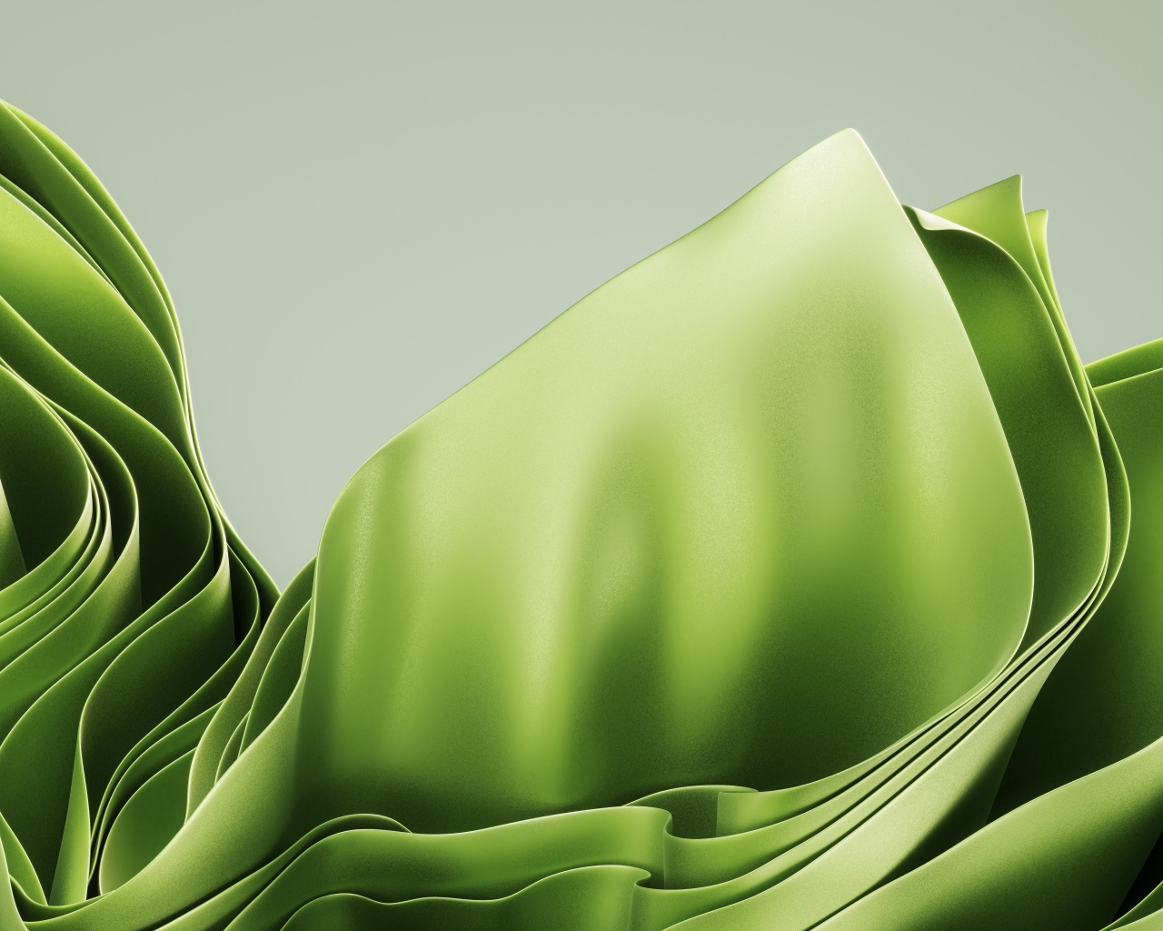 Зеленые абстрактные листья на сером фоне