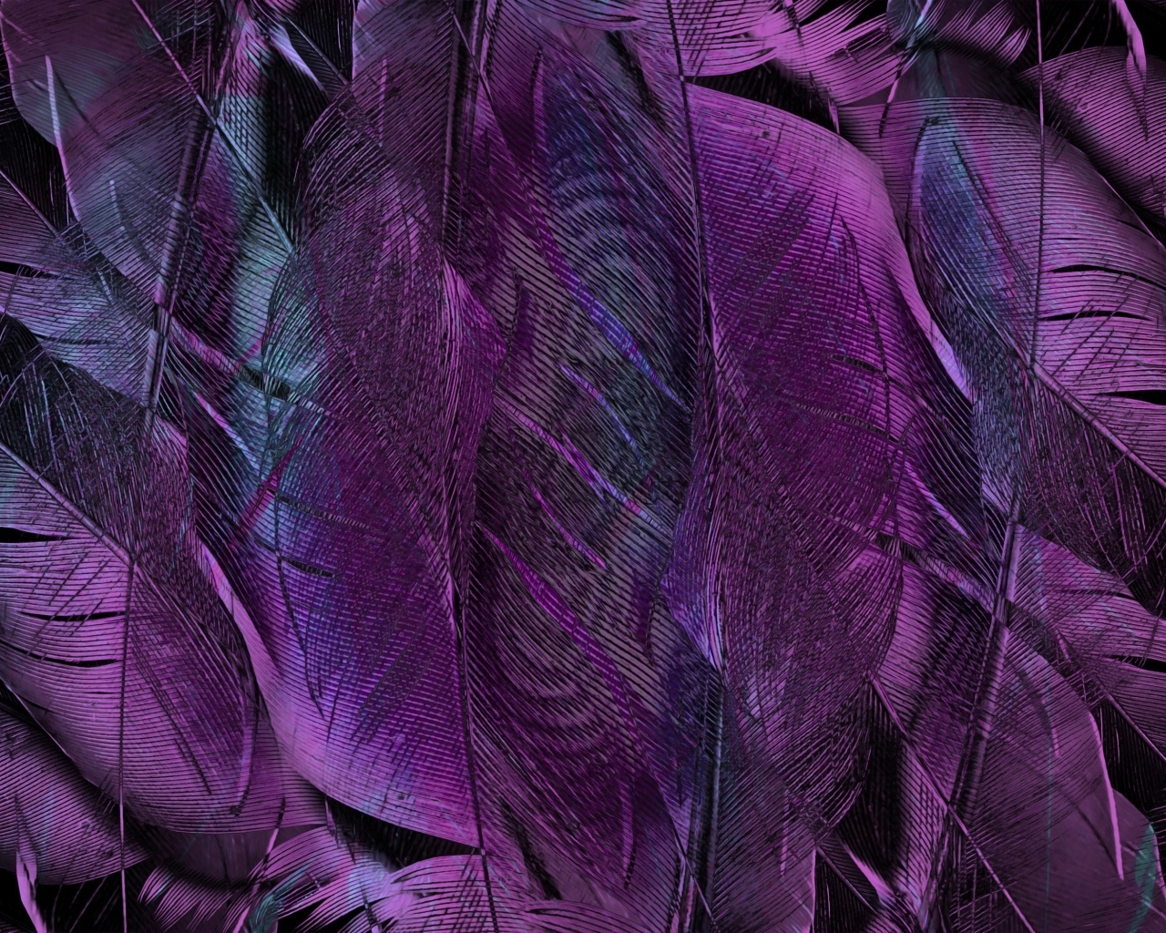 Фиолетовые перья птицы крупным планом